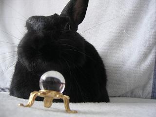 2ナッツ先生.jpg
